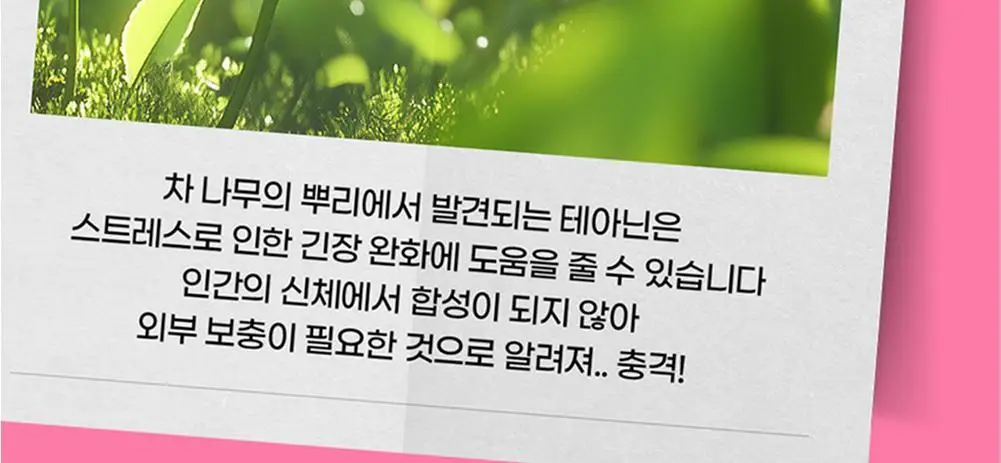[테아닌/마그네슘] 씹어버려 스트레스 코인 (20일분) 상세페이지 12